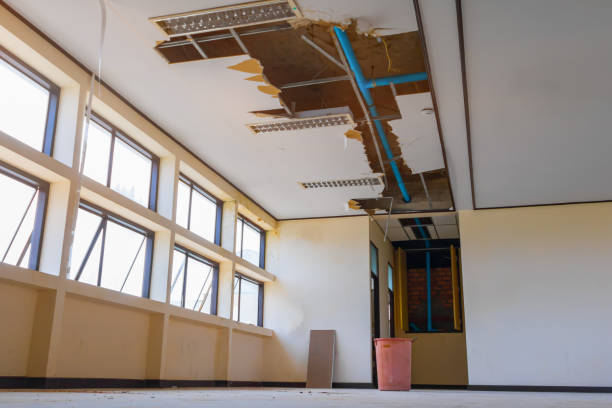 Best Water damage restoration near me  in Morongo Valley, CA