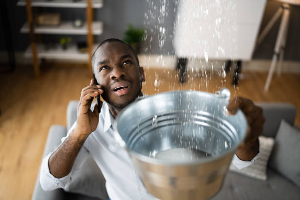Best Carpet water damage restoration  in Morongo Valley, CA