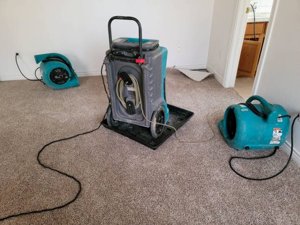 Best Basement water damage restoration  in Morongo Valley, CA