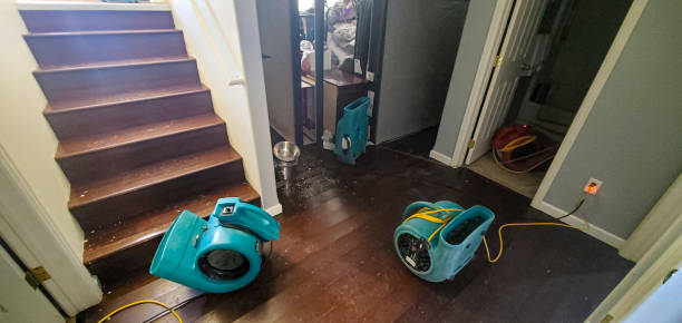 Best Water damage restoration process  in Morongo Valley, CA