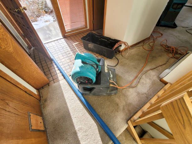  Morongo Valley, CA Water damage restoration Pros