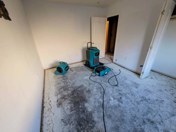 Best Professional water damage repair  in Morongo Valley, CA