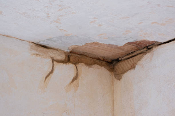 Best Ceiling water damage repair  in Morongo Valley, CA