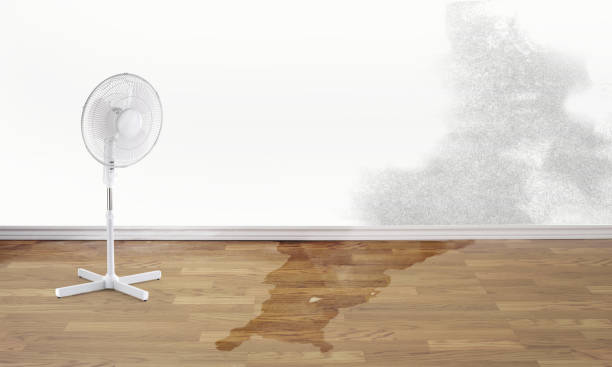 Best Flood restoration services  in Morongo Valley, CA