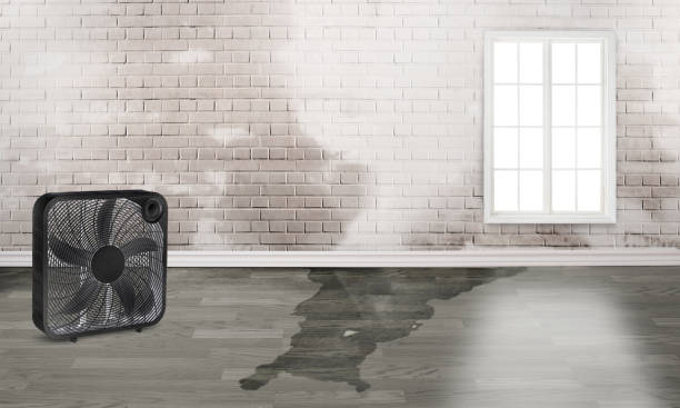 24/7 water damage repair in Morongo Valley, CA