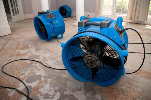 Best Water damage restoration process  in Morongo Valley, CA