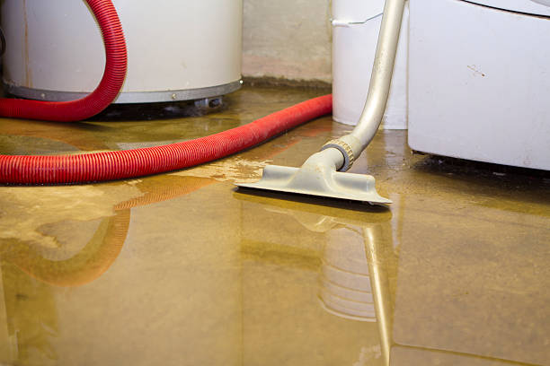 Reliable Morongo Valley, CA Water damage restoration Solutions
