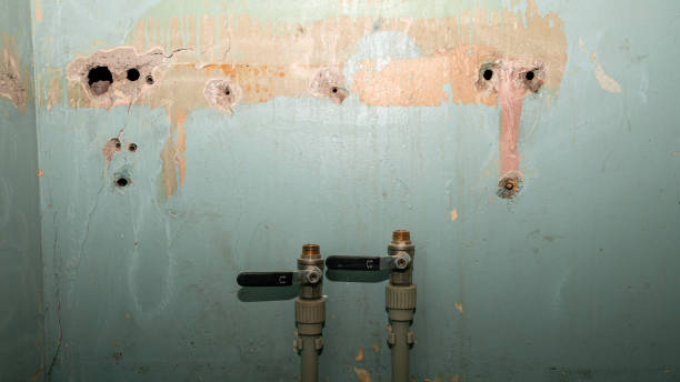 Best Local water damage restoration  in Morongo Valley, CA