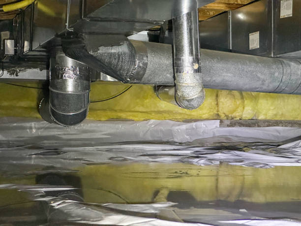Best Water damage restoration specialists  in Morongo Valley, CA