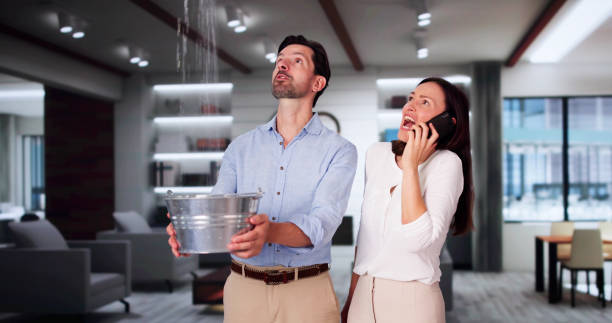 Best Flooded house restoration  in Morongo Valley, CA