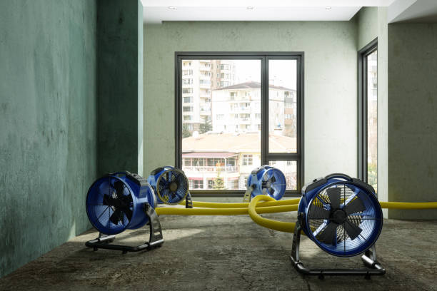 Best Water damage restoration specialists  in Morongo Valley, CA