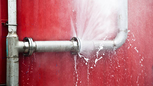 Best Water damage contractors near me  in Morongo Valley, CA